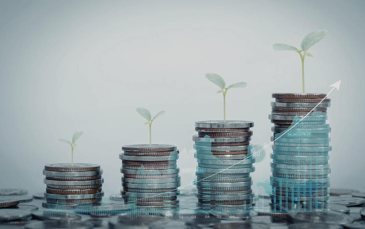 Case Study – 5-Step DYN Framework to 2X Wealth in 7 Years 